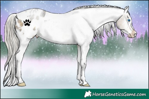 Horse Color:White Spotted Silver Buckskin Frame Varnish 