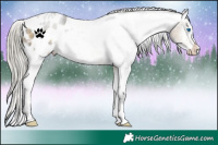 Horse Color:White Spotted Silver Buckskin Frame Varnish