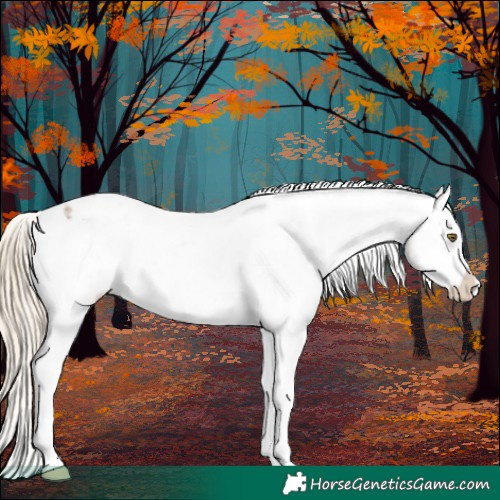 Horse Color:Chocolate Palomino Roan Snowflake Varnish