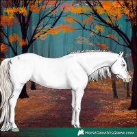 Horse Color:Chocolate Palomino Roan Snowflake Varnish
