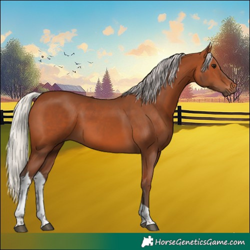 Horse Color:Silver Bay Tobiano
