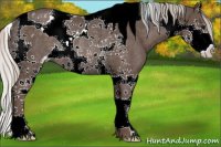 Horse Color:Silver Black Splash Tobiano Rabicano 