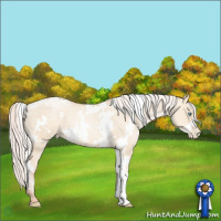 Horse Color:White Spotted Silver Sable Cream Champagne Pearl Dun 