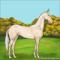Horse Color:White Spotted Silver Smoky Black Pearl 