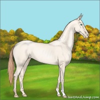 Horse Color:Amber Cream Champagne Pearl 