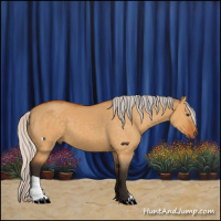 Horse Color:Silver Buckskin Dun 