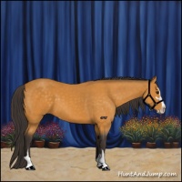 Horse Color:Buckskin Sabino 