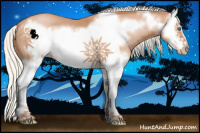 Horse Color:Silver Black Pearl Splash Frame 