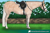 Horse Color:Silver Sable Champagne Ice 