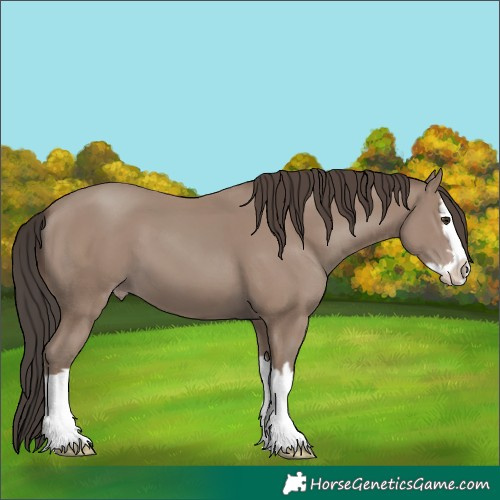 Horse Color:Classic Champagne Splash 
