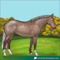 Horse Color:Chocolate Silver Brown Dun 