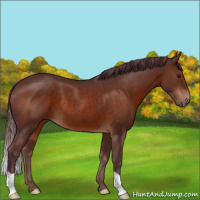 Horse Color:Chocolate Brown 