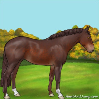 Horse Color:Chocolate Brown 