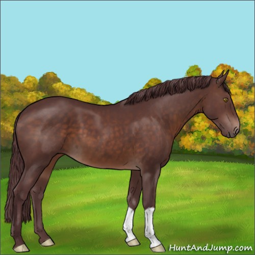 Horse Color:Chocolate Brown 