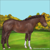 Horse Color:Chocolate Brown 