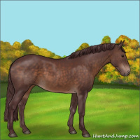 Horse Color:Chocolate Brown 