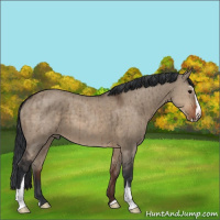 Horse Color:Brown Dun Sabino Brindle