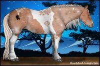 Horse Color:Silver Brown Tobiano Rabicano 