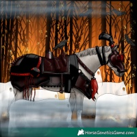 Horse Color:Silver Grullo Roan 