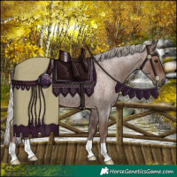 Horse Color:Silver Blue Roan 