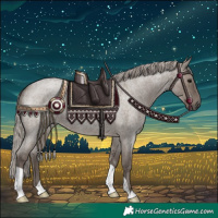 Horse Color:Silver Grullo Roan 