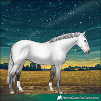 Horse Color:Gray Silver Brown Roan Rabicano 