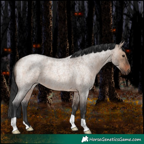 Horse Color:Brown Roan Dun 
