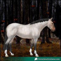 Horse Color:Brown Roan Dun 