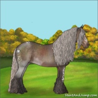Horse Color:White Spotted Silver Black Rabicano 