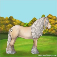 Horse Color:Silver Buckskin Pearl Sabino 