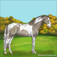 Horse Color:Silver Grullo Sabino Splash Tobiano Rabicano 