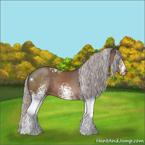 Horse Color:White Spotted Silver Black 