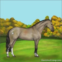 Horse Color:Smoky Grullo Sabino 