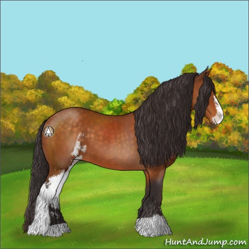 Horse Color:Buckskin Sabino 