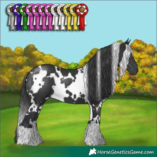 Horse Color:White Spotted Black 