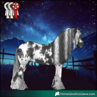 Horse Color:White Spotted Black