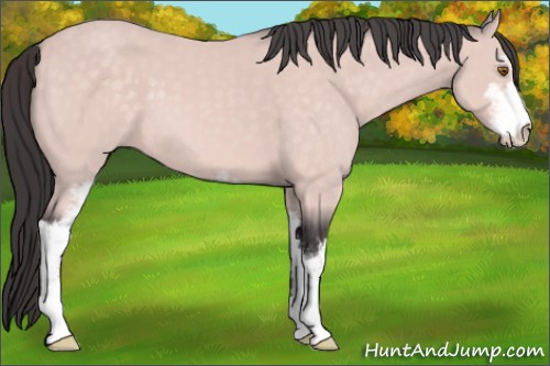 Horse Color:Platinum Buckskin Sabino