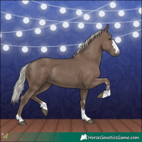 Horse Color:Silver Black 