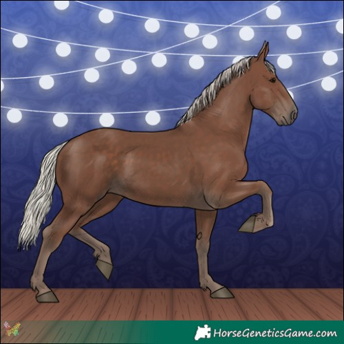 Horse Color:Silver Black 