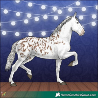 Horse Color:Silver Black Near Leopard 