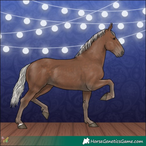 Horse Color:Silver Black