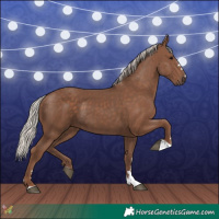Horse Color:Silver Black 