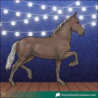 Horse Color:Silver Black 