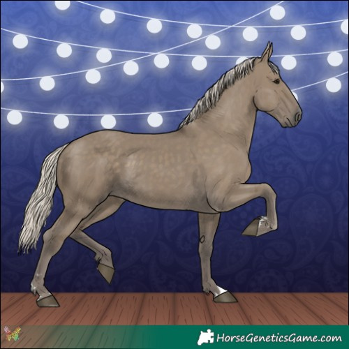 Horse Color:Silver Smoky Grullo 