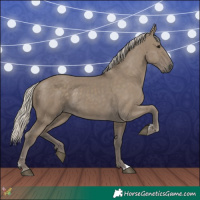 Horse Color:Silver Smoky Grullo 
