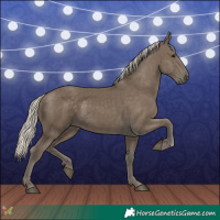Horse Color:Silver Smoky Black 