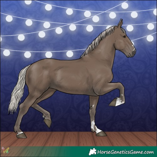 Horse Color:Silver Black 