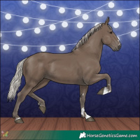 Horse Color:Silver Black 