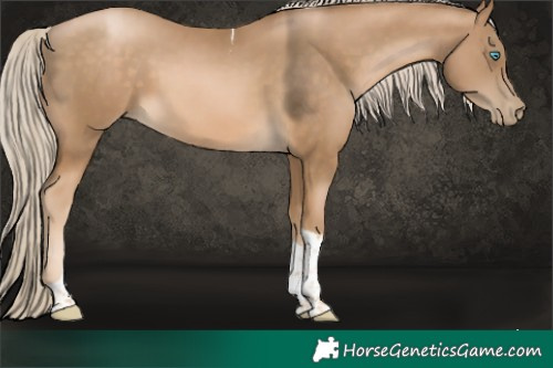 Horse Color:Chocolate Palomino Pearl Tobiano 