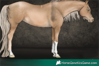 Horse Color:Chocolate Palomino Pearl Tobiano 